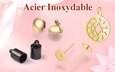 Acier Inoxydable