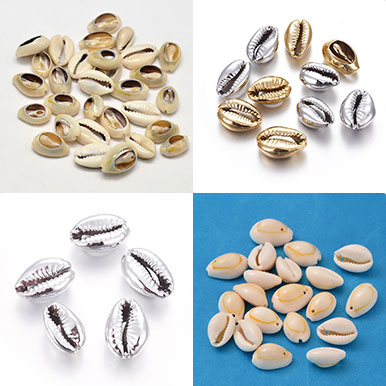 Cowrie Shell