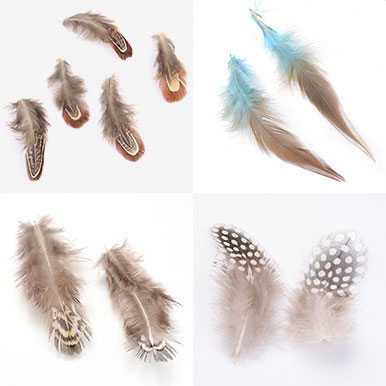 Feather