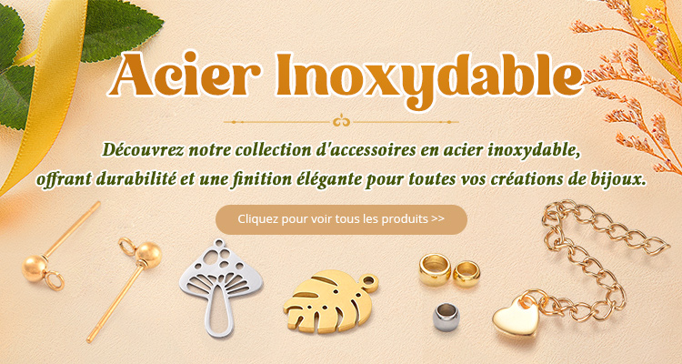 Acier Inoxydable