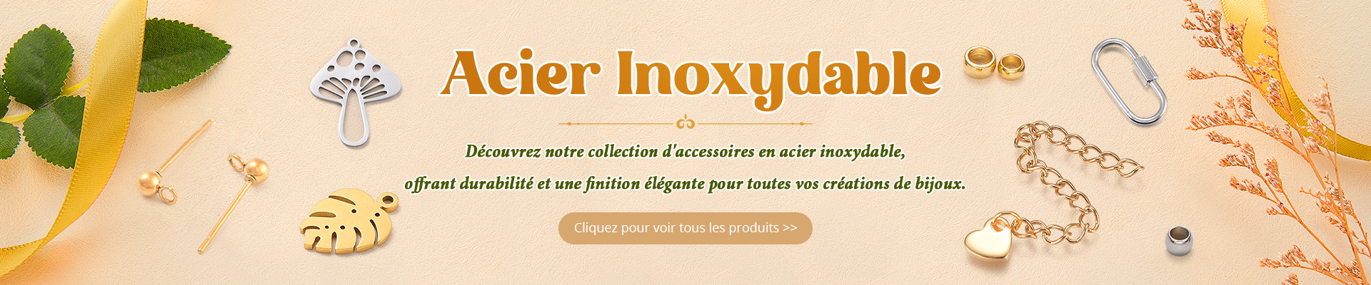 Acier Inoxydable