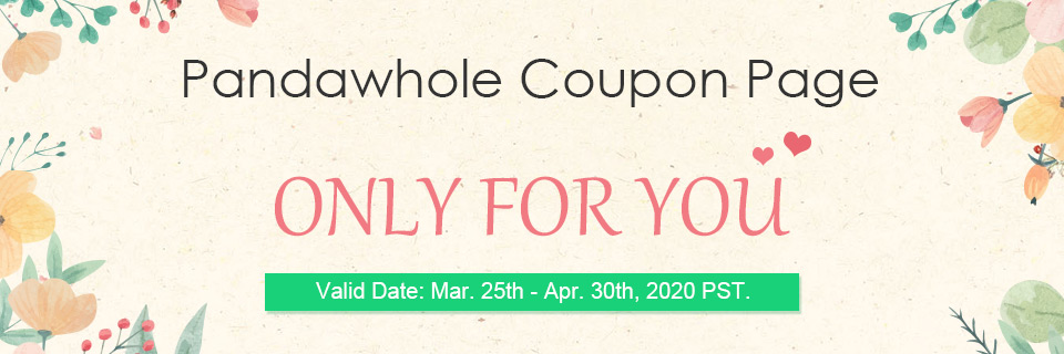 Pandawhole Coupon Page